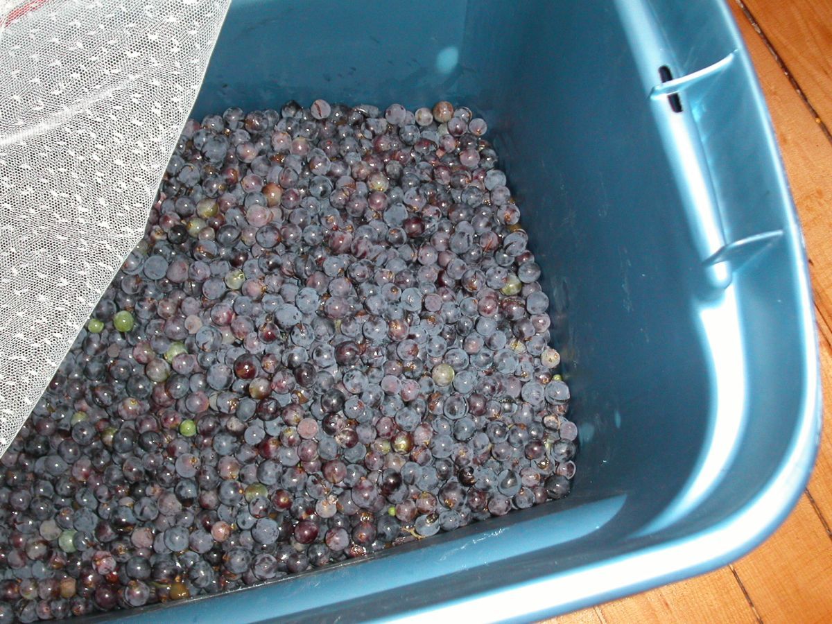 Ghetto Home Made Wine