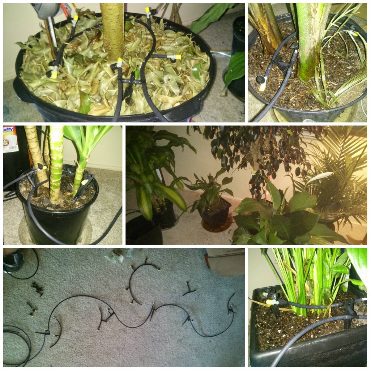 Indoor Plant Watering System Instructables