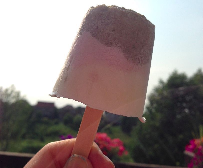 DIY Delicious Popsicles (Summer Treat)