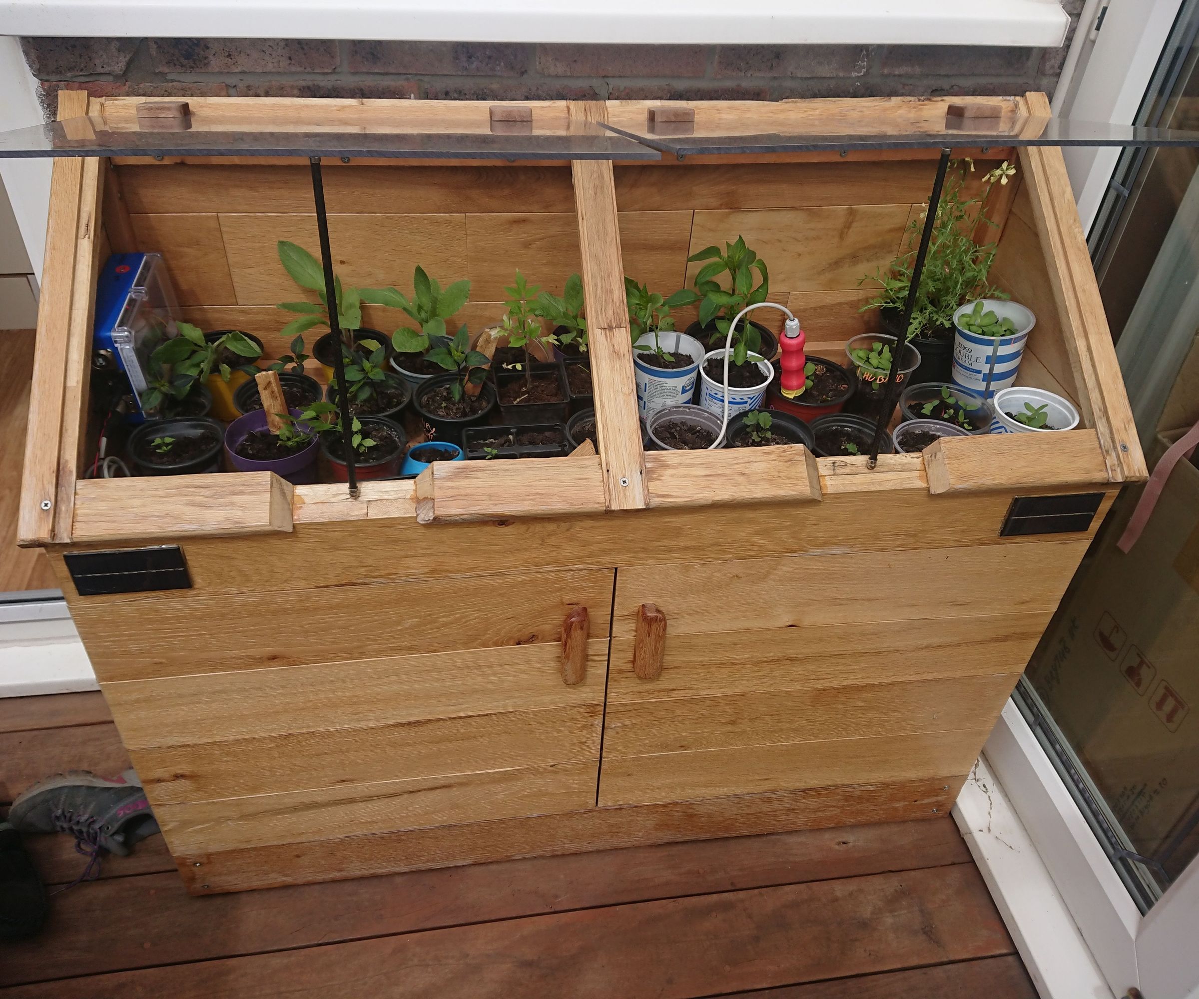 Solar Powered Time-Lapse Cold Frame