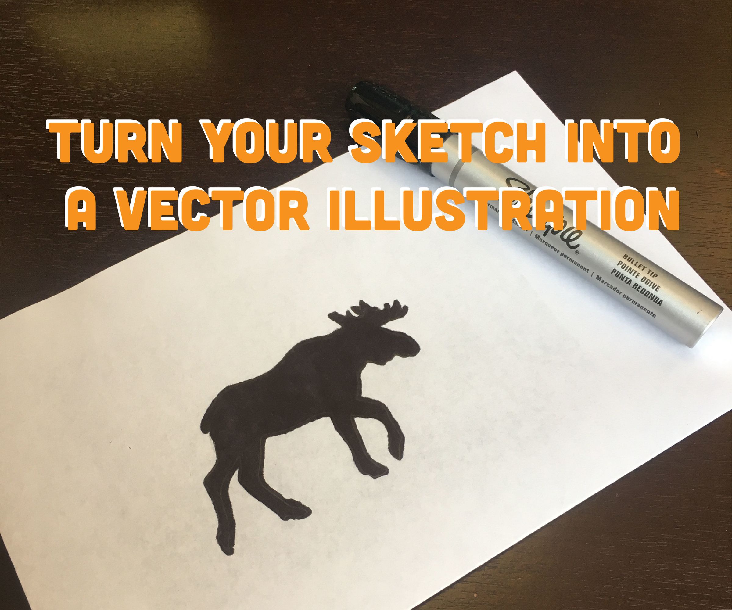 Turning a Sketch Into Vector Artwork