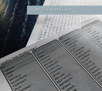 Go Find the Words