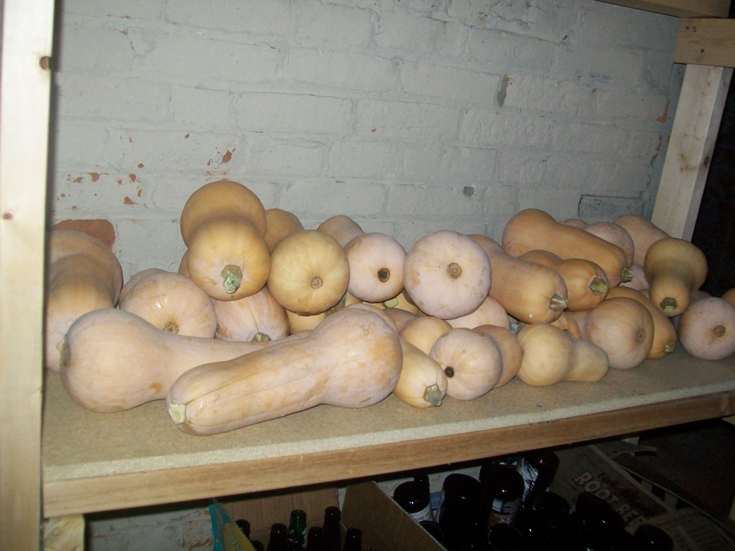 Oven Roasted Butternut SOOOOOOOOOOOOOOOOOOOOOOOOOUUUUUUUUUUUUUP