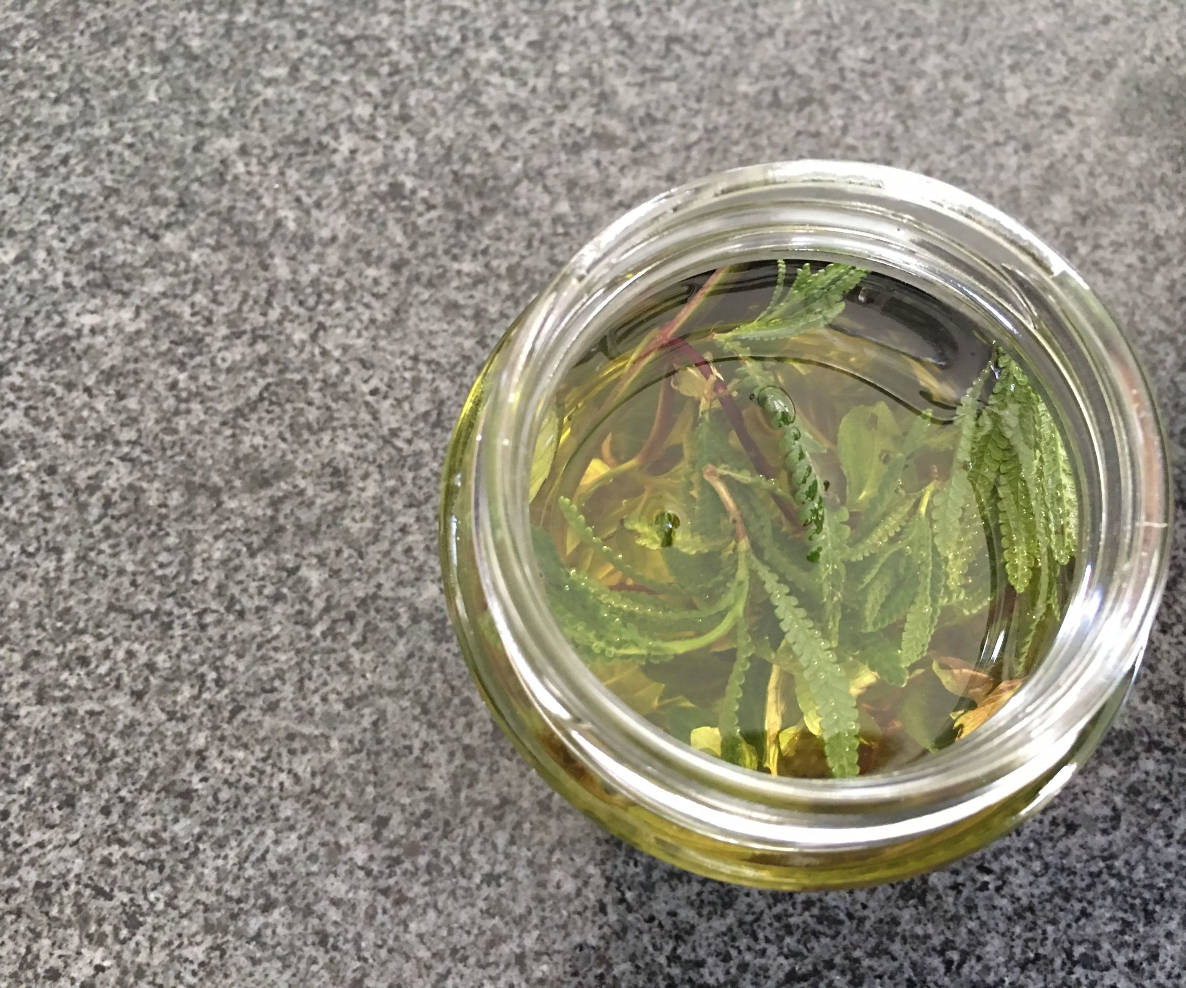 Lavender and Mint Infused Olive Oil