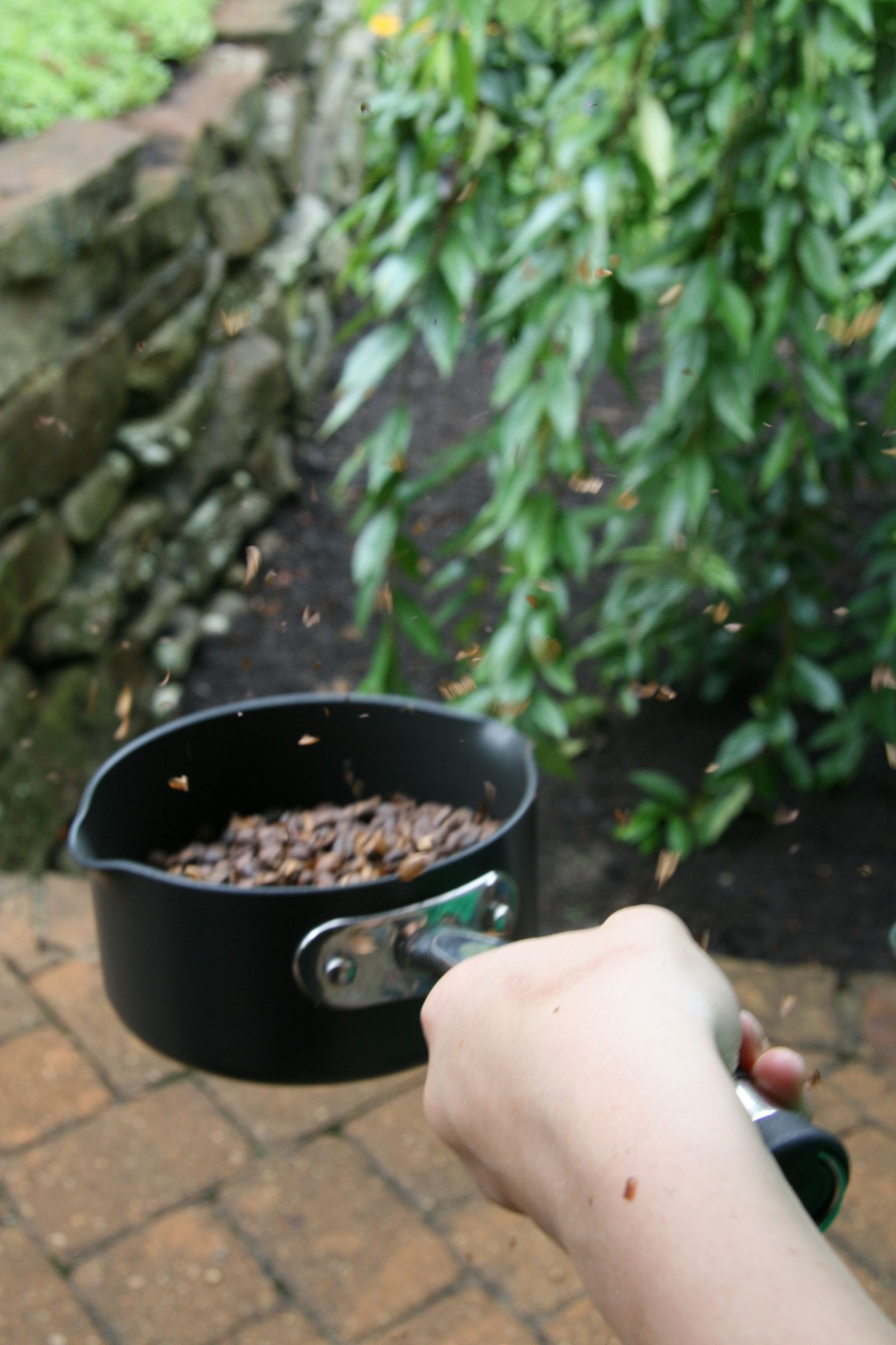 Roast Your Own Coffee [Whirley Pop Method] 6 Steps (with Pictures) Instructables