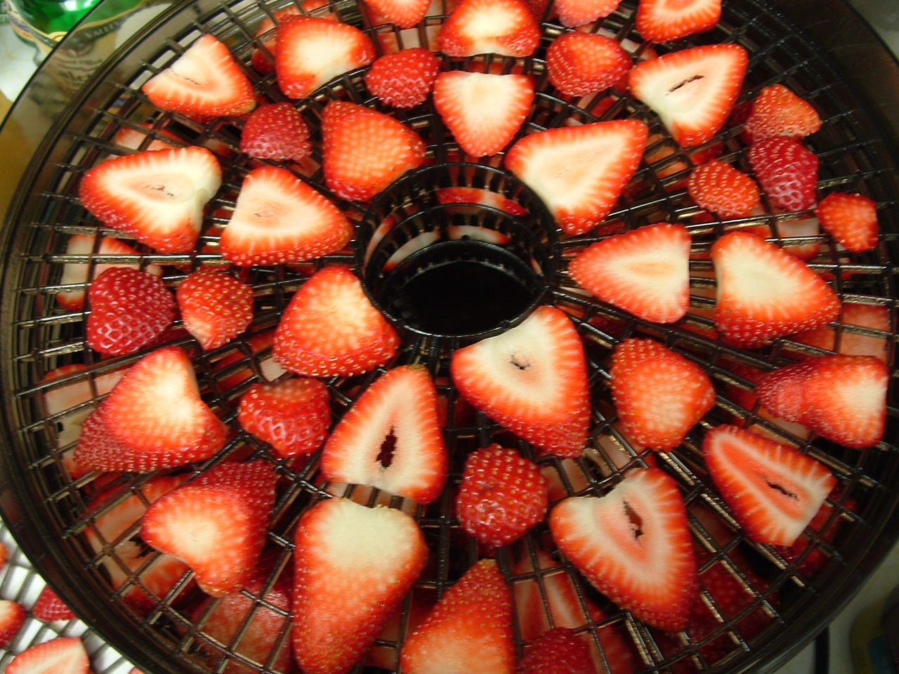 Dehydrated Strawberries