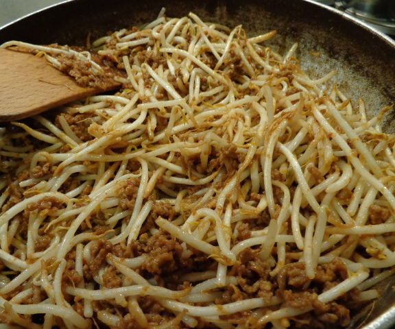 Minced Meat and Bean Sprouts Dinner