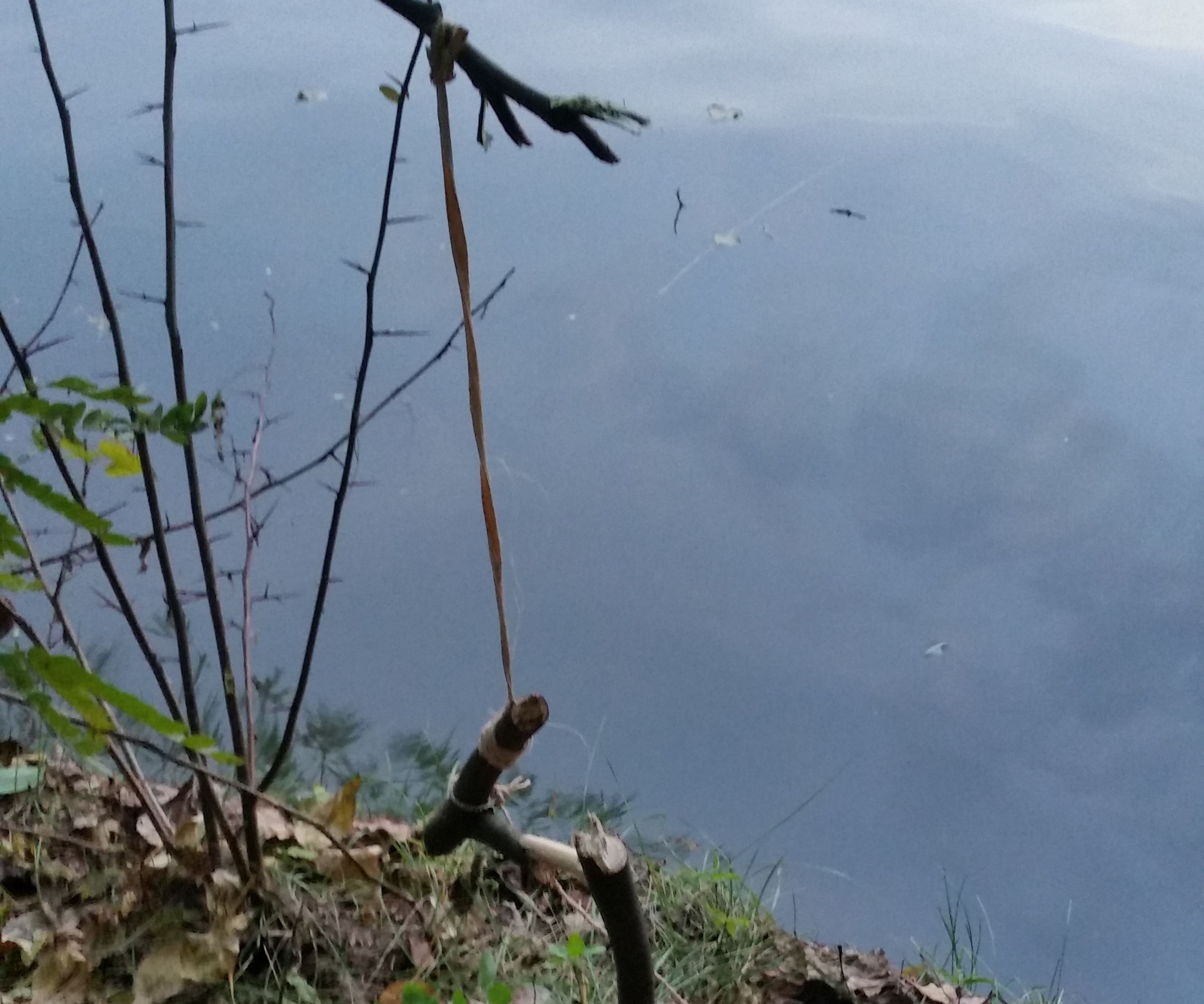 Primitive Smart Fishing