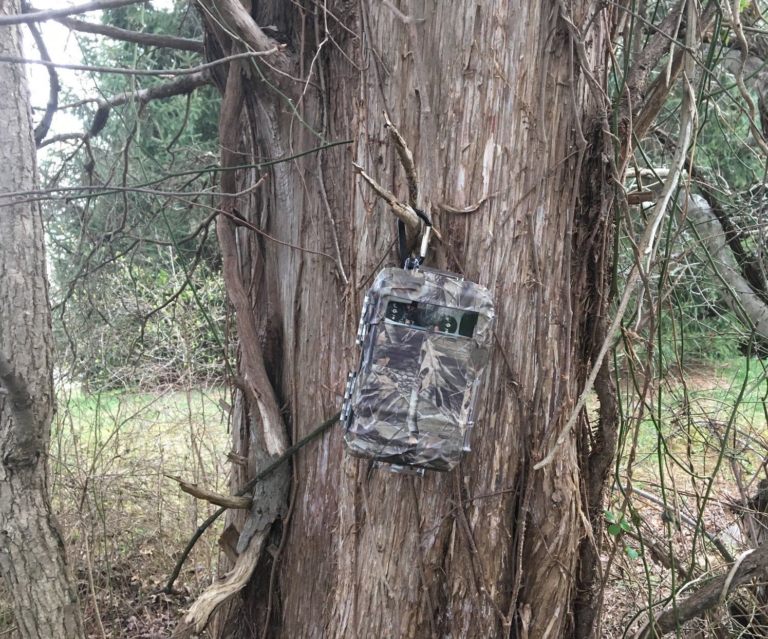 How to Make a Trail Camera Using a Picam Python Script 