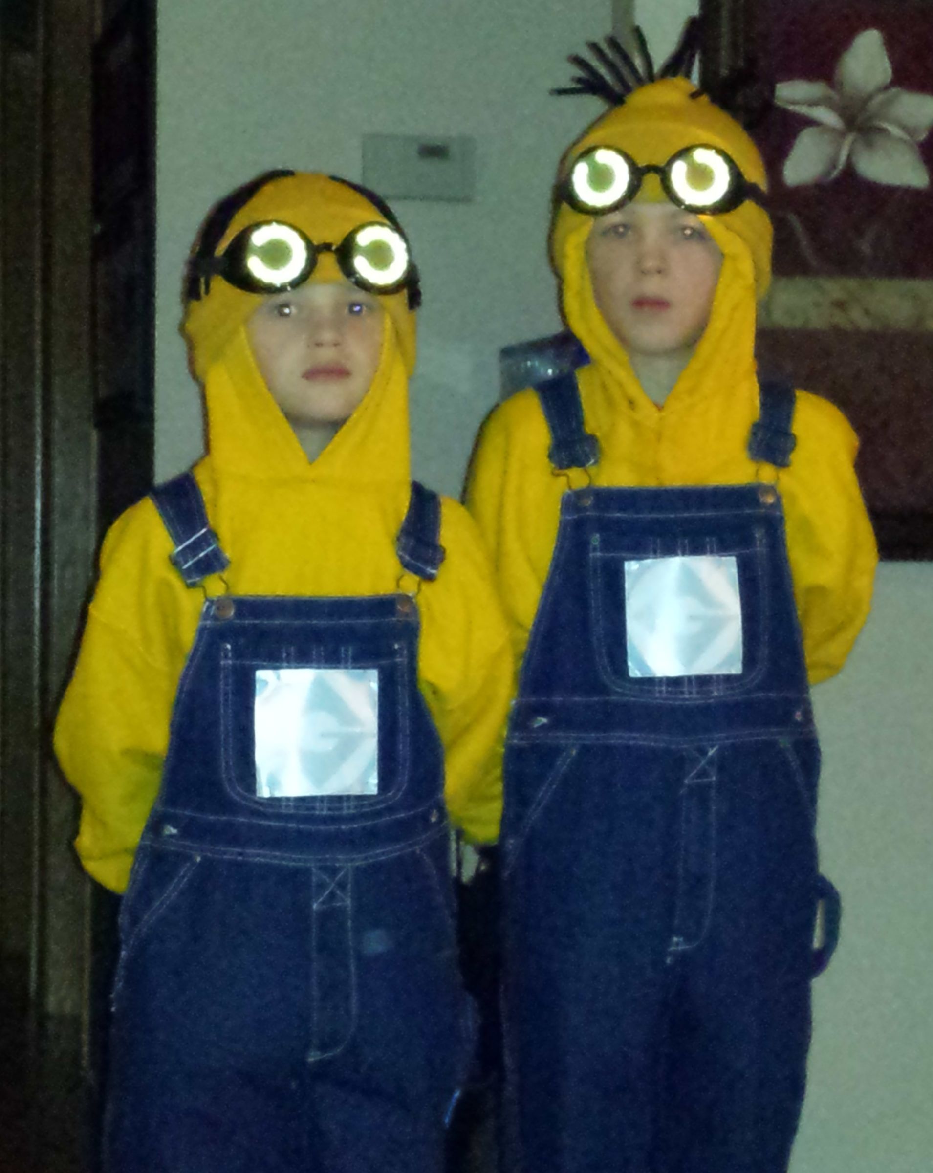 Despicable Me Minion Costume