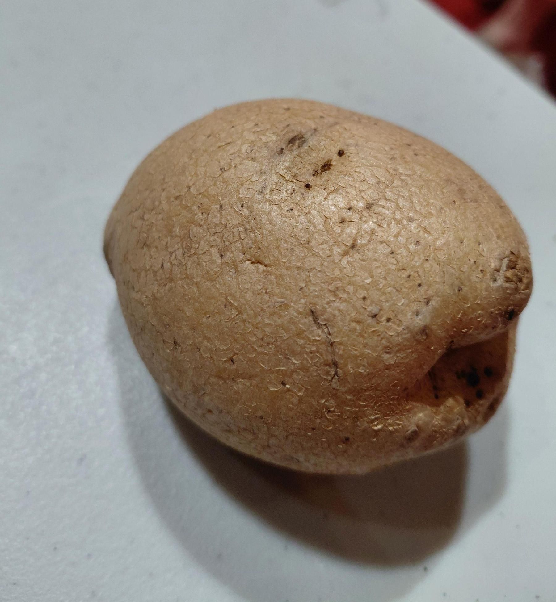 How to Put a Good Potato on Your Head