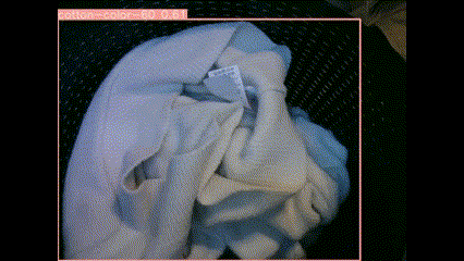 Assigning the Laundry to a Washing Program