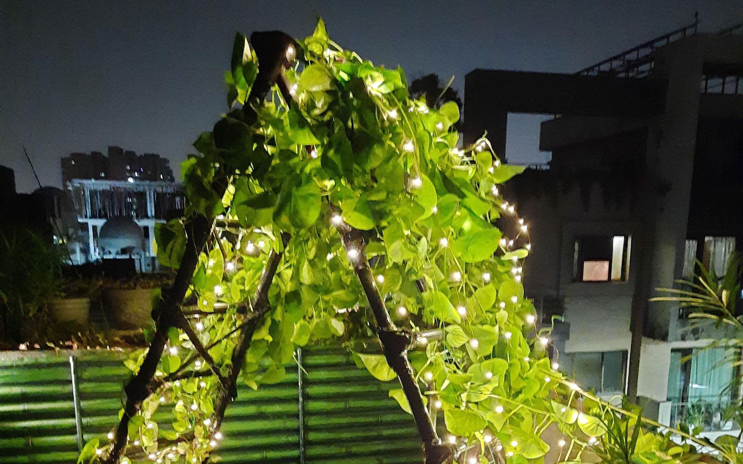 Terrace Enlightenment Corner Nest