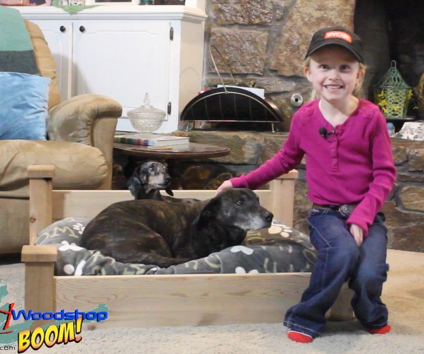 Easiest Dog Bed Ever