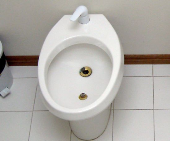6 Steps on How to Use a Bidet