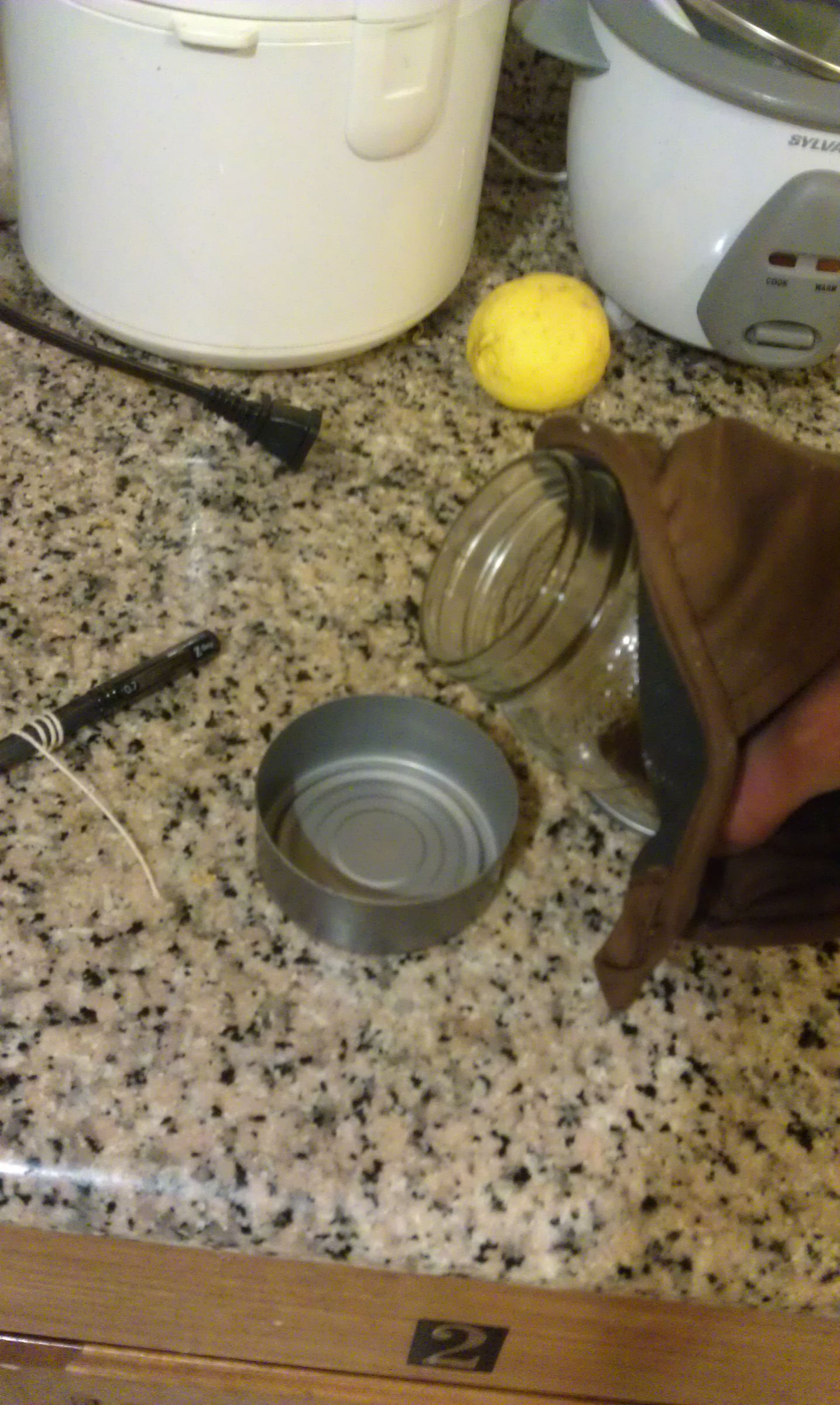 How to Make a Bacon Lamp 6 Steps (with Pictures) Instructables