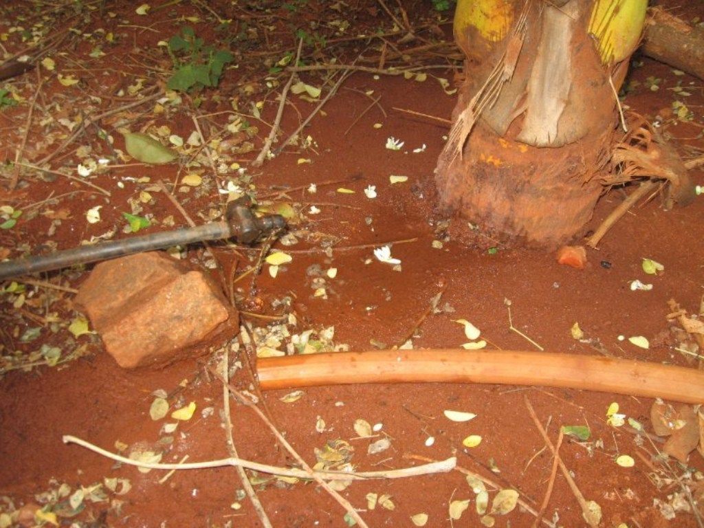 DIY: Drip Irrigation in the Home Garden With Recycled Material