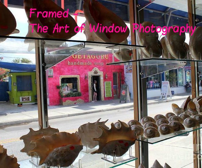 Framed! the Art of Window Photography