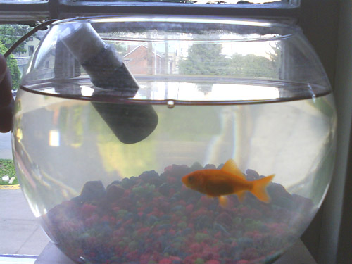 Underwater Microphone (Hydrophone)