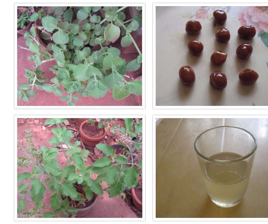 Sore Throat Lozenges and Decoction With Plectranthus Amboinicus Leaves