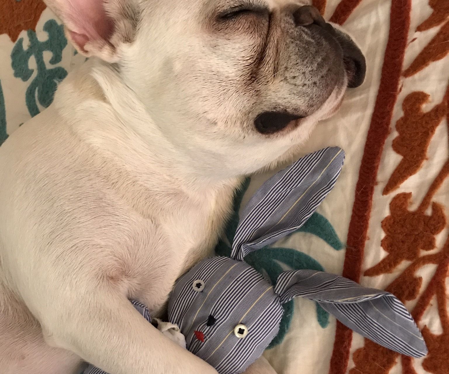 Scrappy Bunny Puppy Buddy