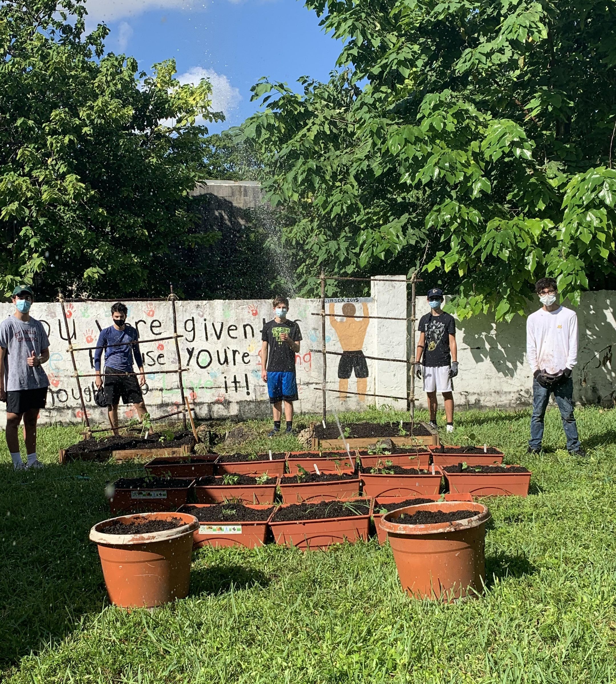 How to Create a Garden