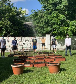 How to Create a Garden