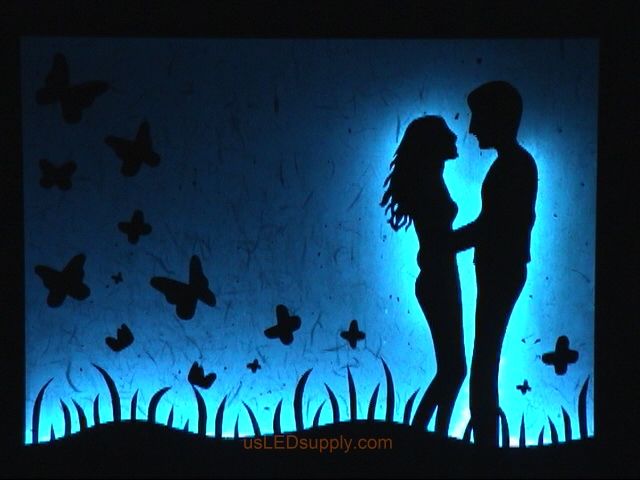 LED Silhouette Art~ color changing!