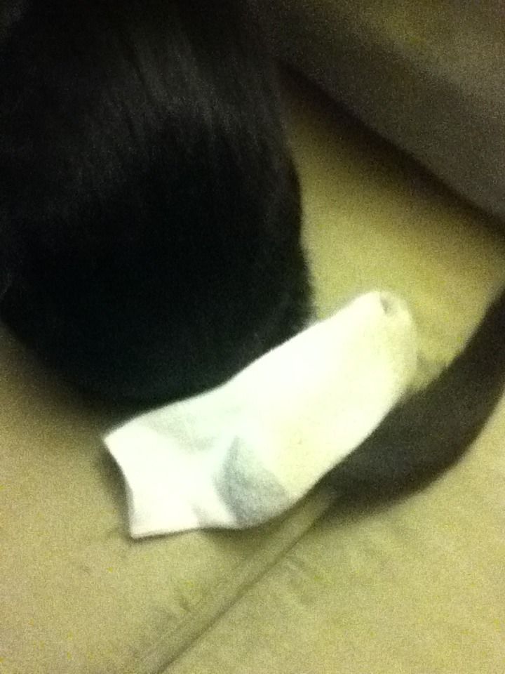 How to Get a Sock on Ur Cats Head