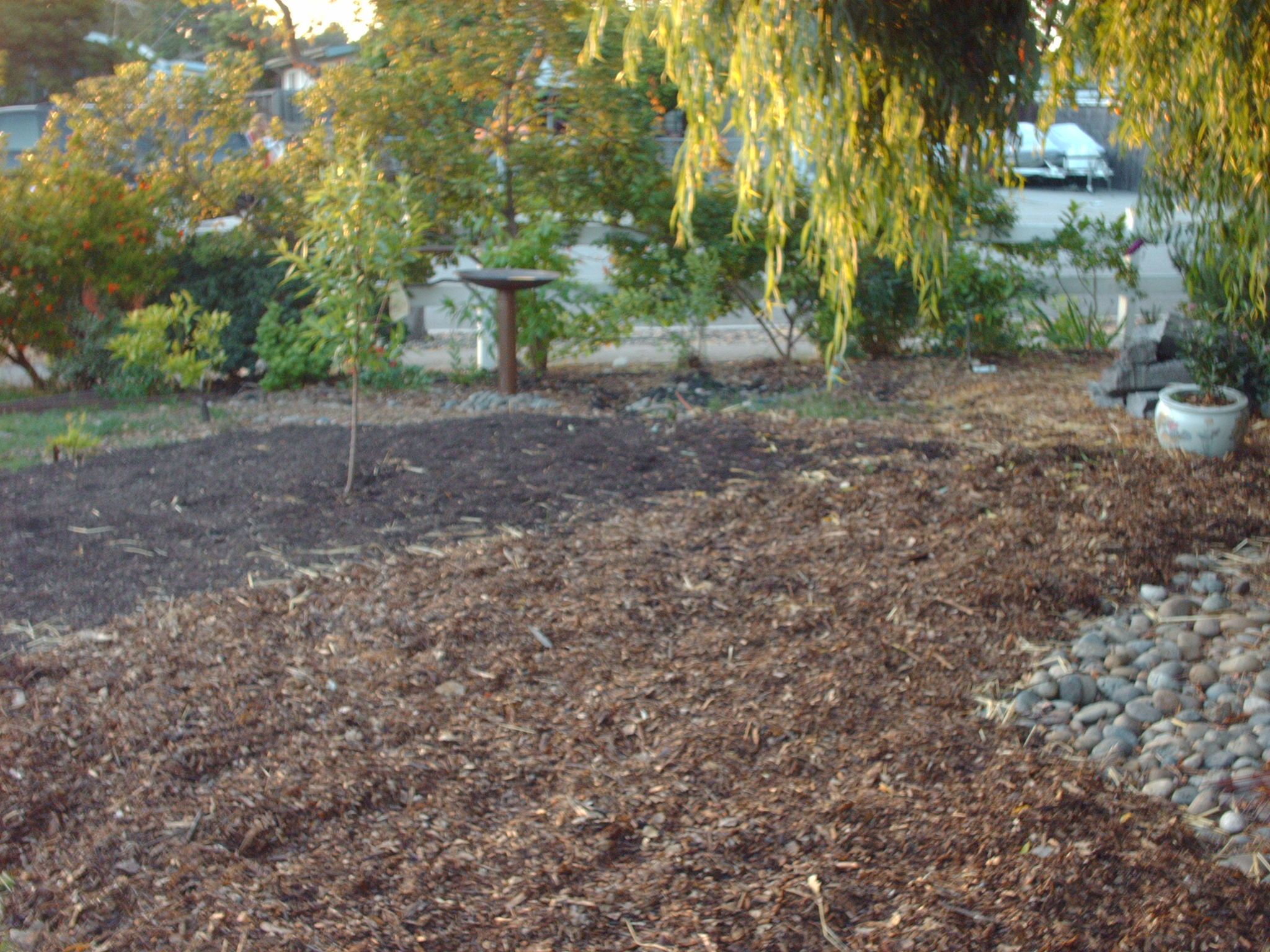 Drought Tolerant Front Yard - Converting Lawn to Soil