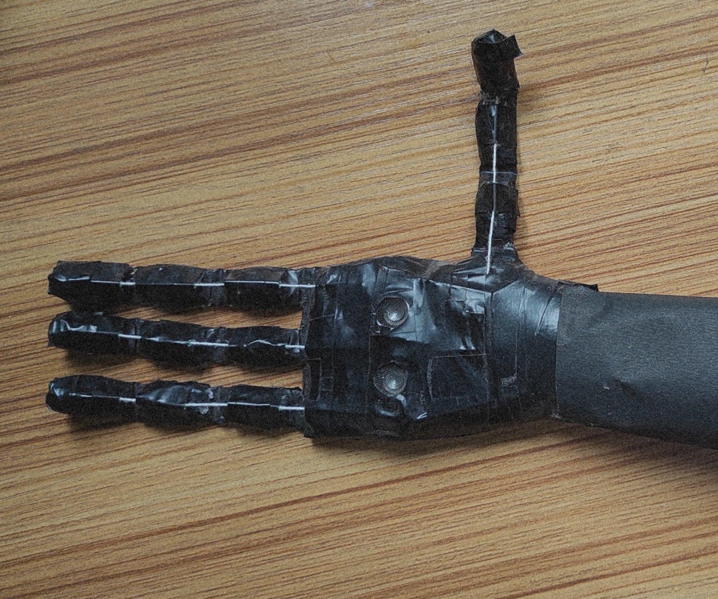 Voice Control Robotic Hand