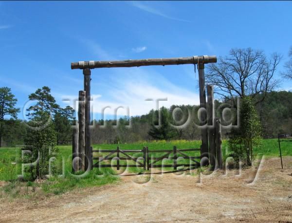 Watermarks With Photoshop