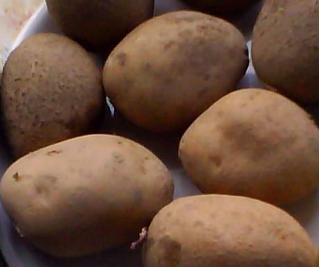 Roast Potatoes