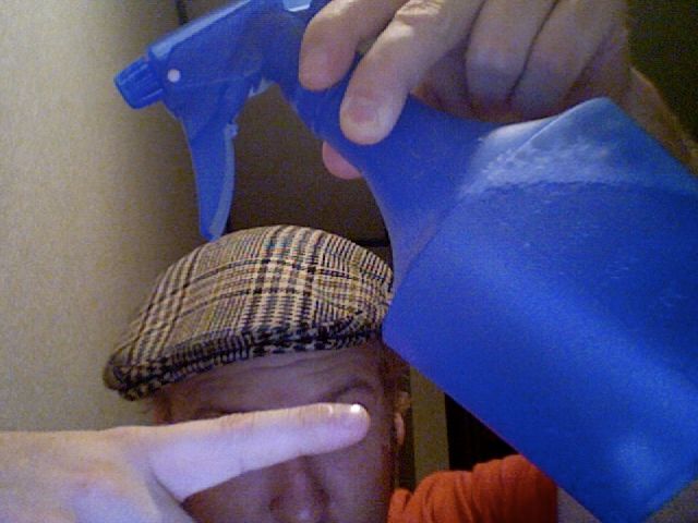 How to Kill a Cockroach on the Cheap and Not Poison Your Cat at the Same Time.