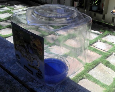 Free, Green, Solar Dehydrator