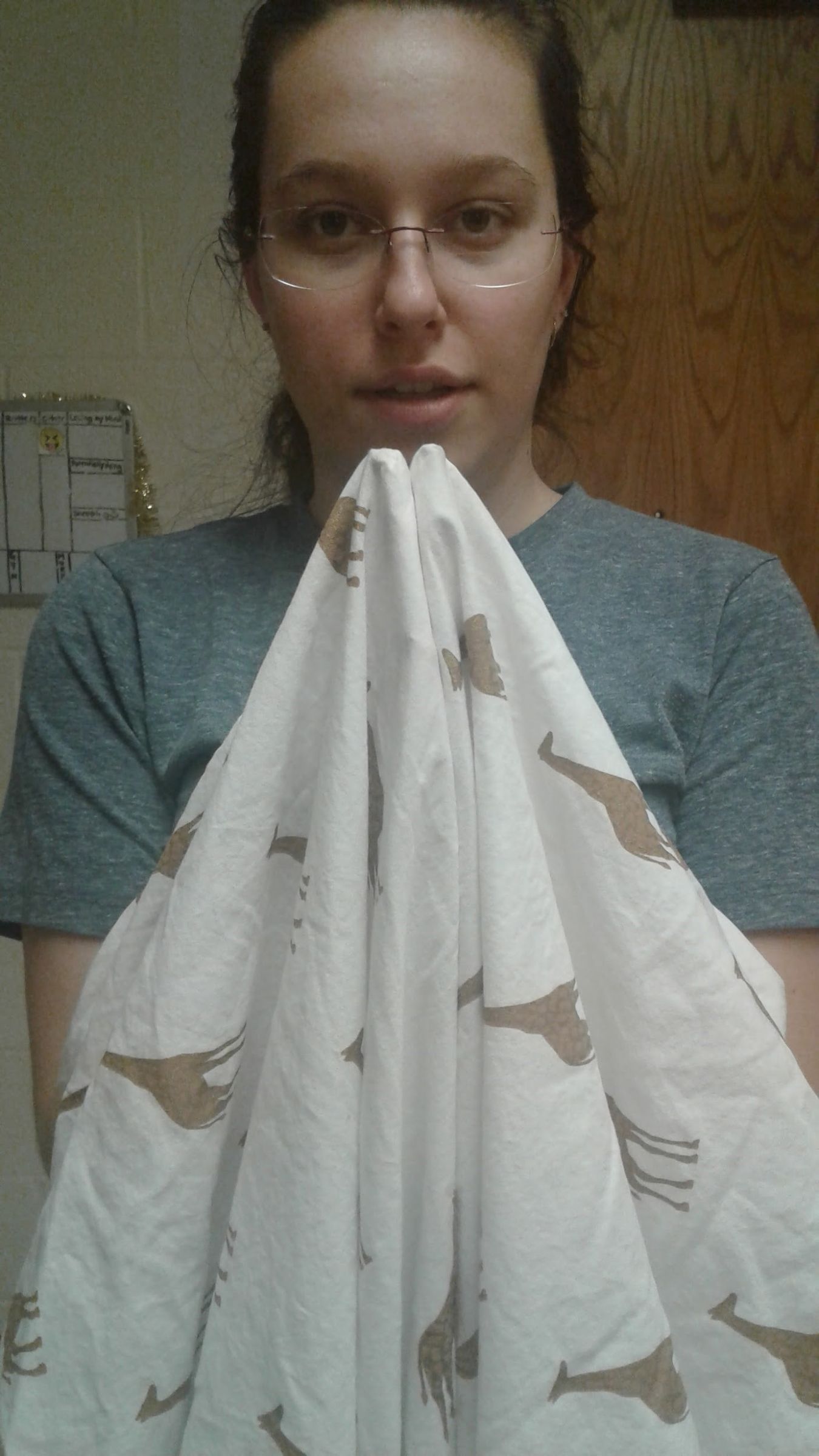 How to Fold a XL Twin Sheet 17 Steps Instructables