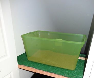 Catland -- an Odor-free, Private, Convenient Location for Your Cat Box!