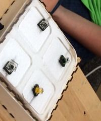 Laptop Shortcut Box