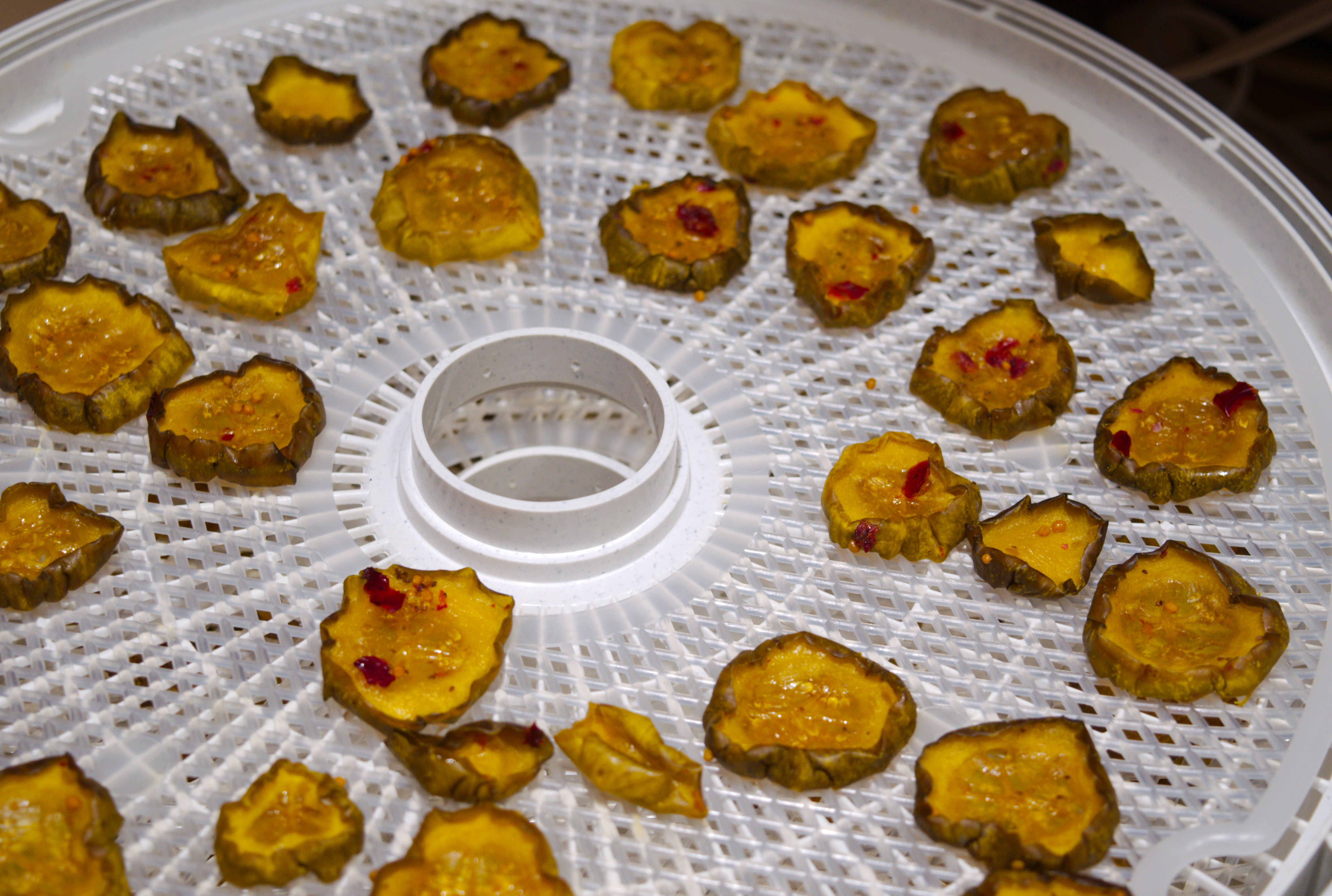 Dehydrator Pickle Chips 3 Steps Instructables