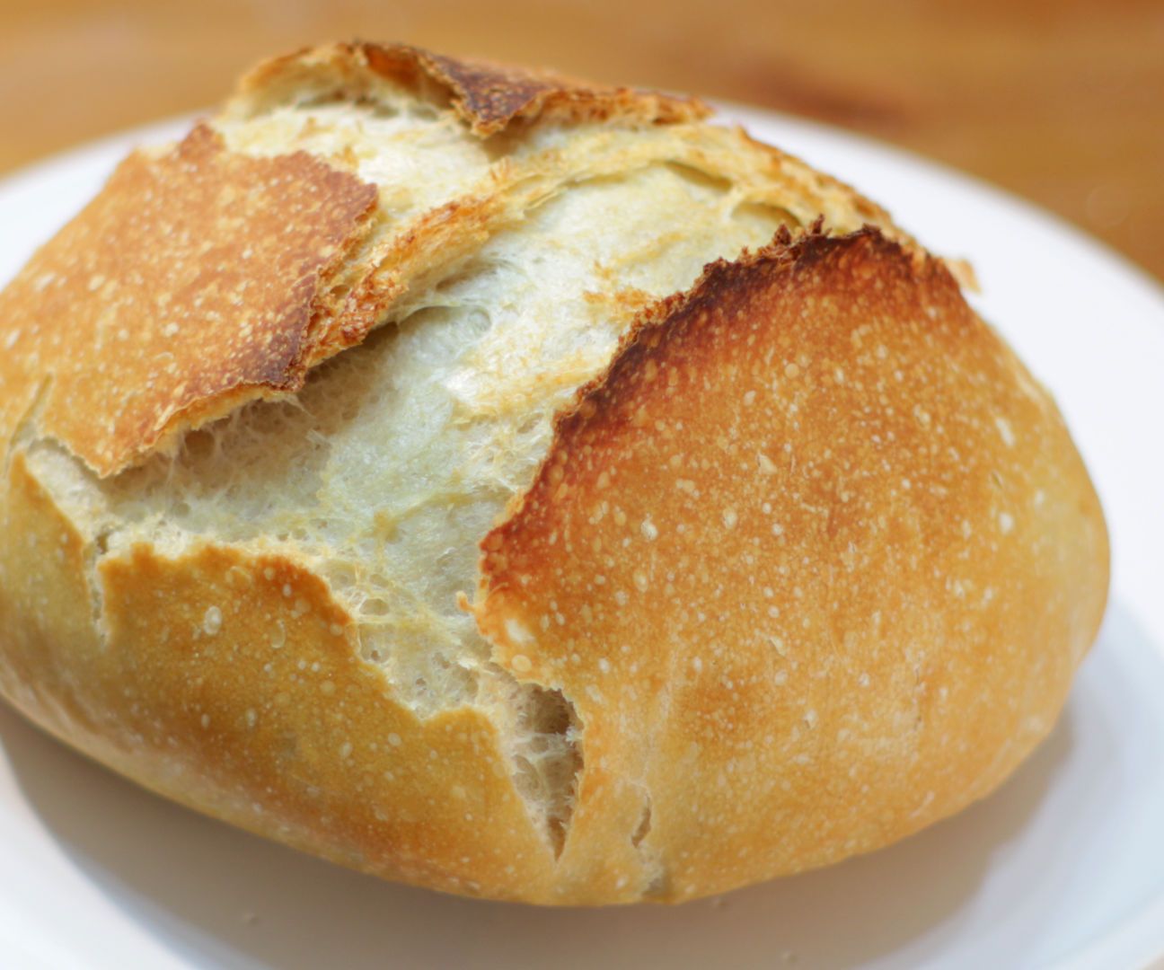 Easy No Knead Bread