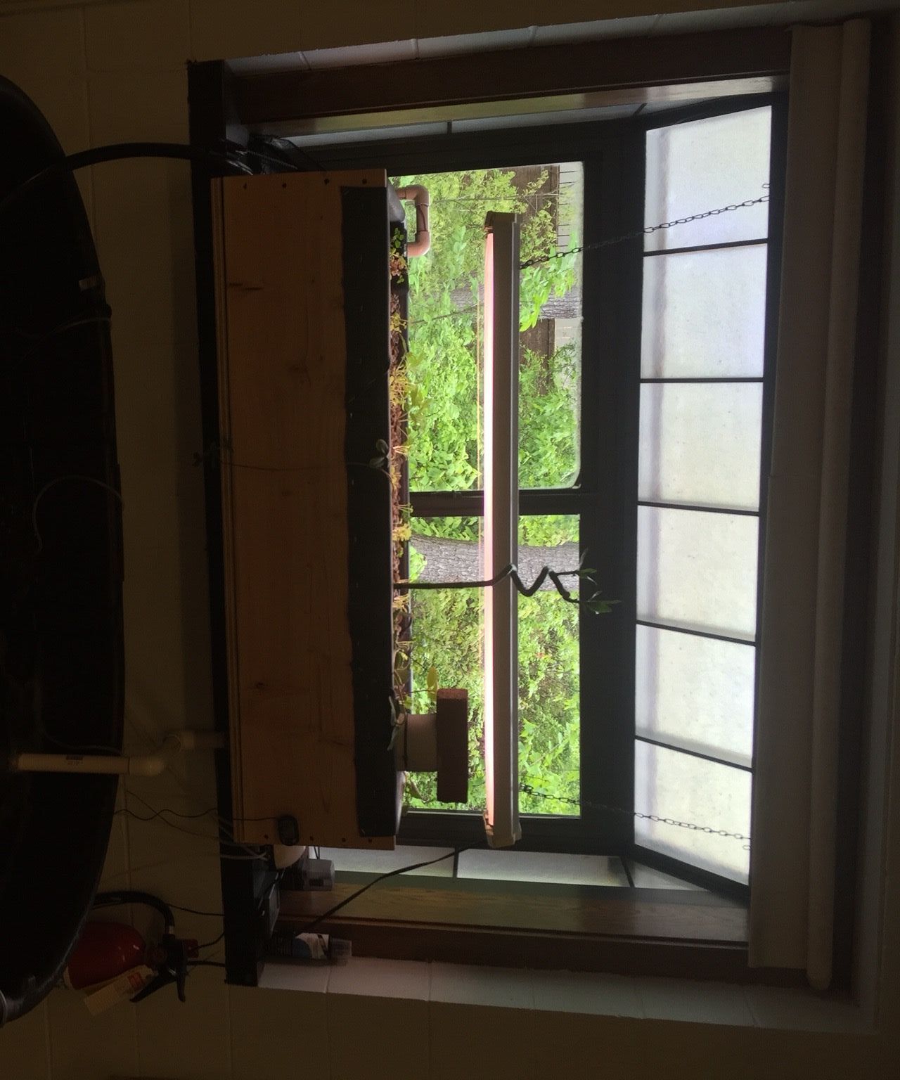 Aquaponics: the Future of Sustainable Food