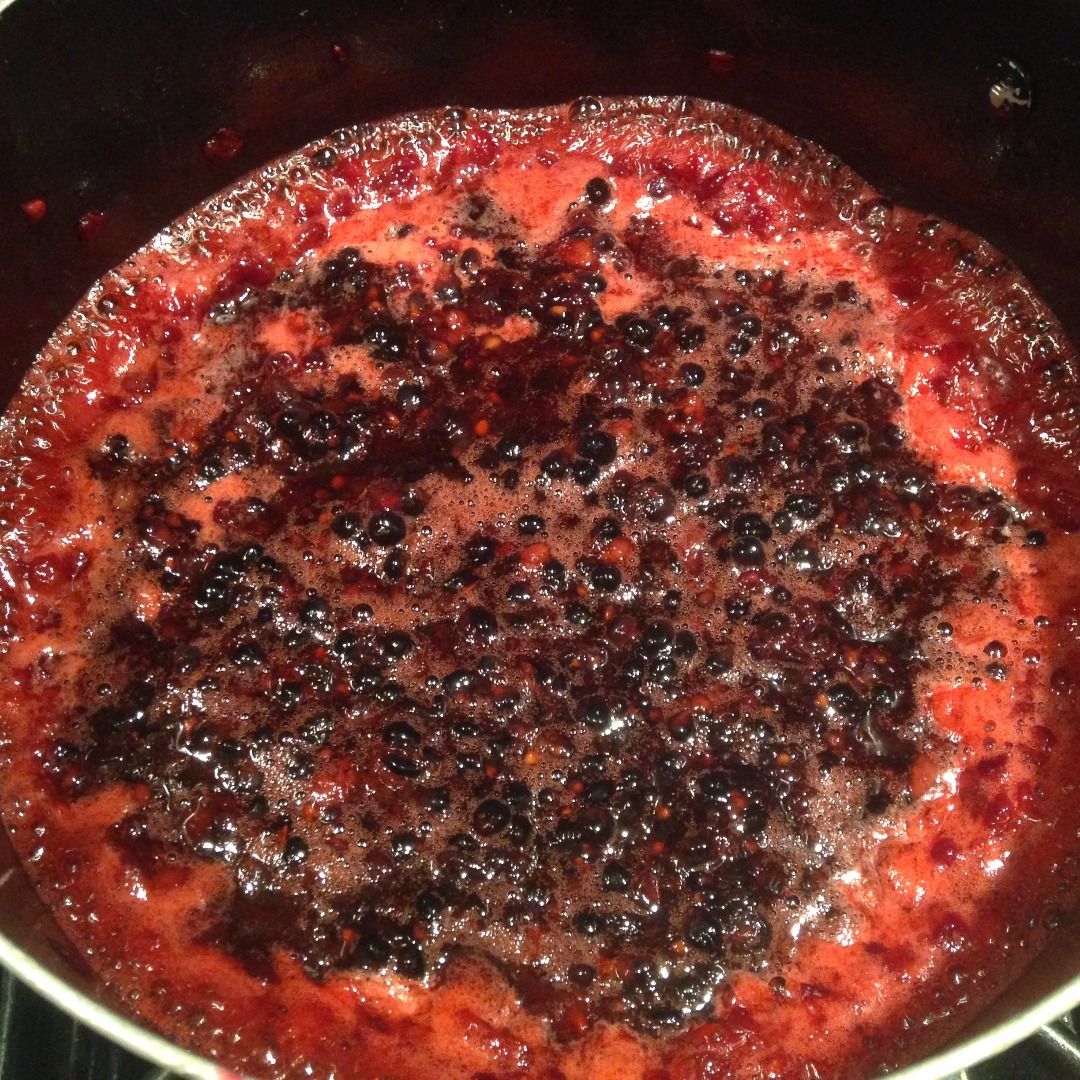 Blackberry Quick Jam 4 Steps (with Pictures) Instructables