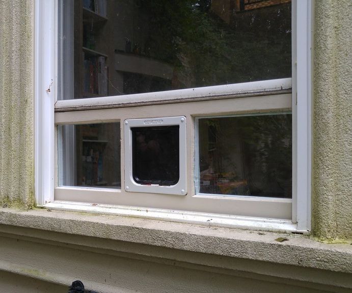 Pet Door Window Insert From XPS Foam and DoublePane Glass 8 Steps