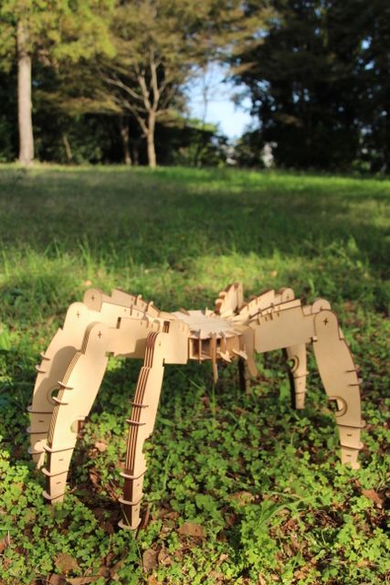 i-spider