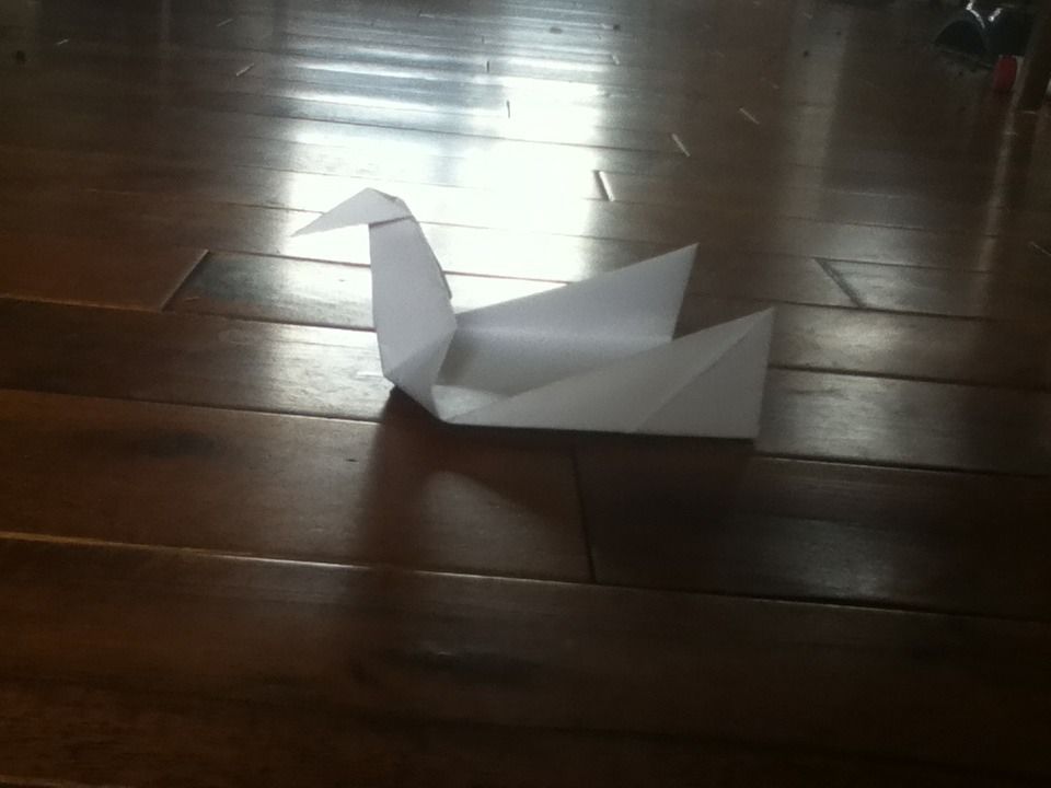 How to Make a Origami Swan
