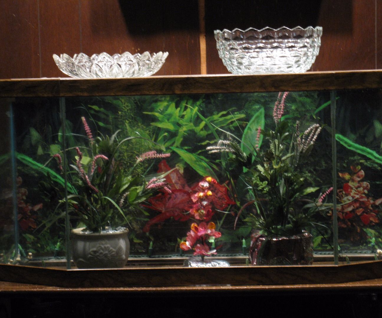 Aquarium Makeover