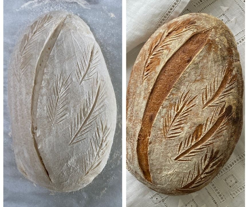 Sourdough Starter and Bread