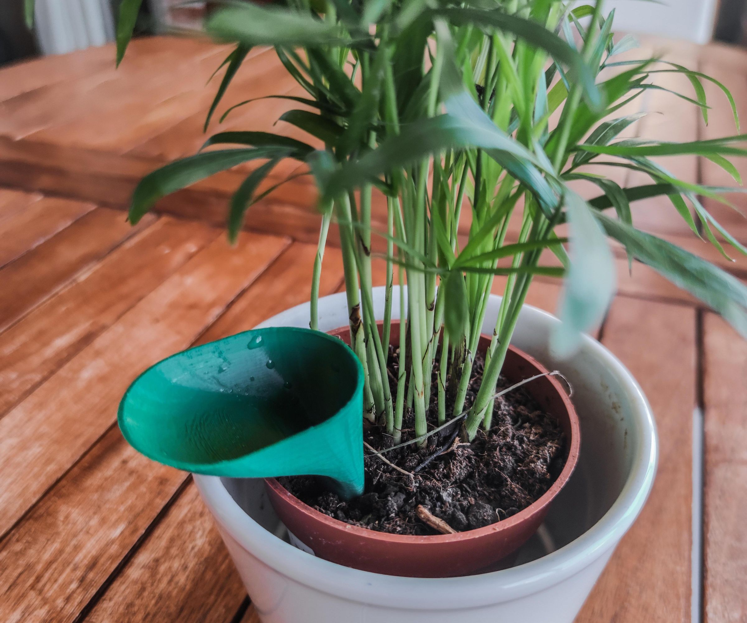 Self-Watering