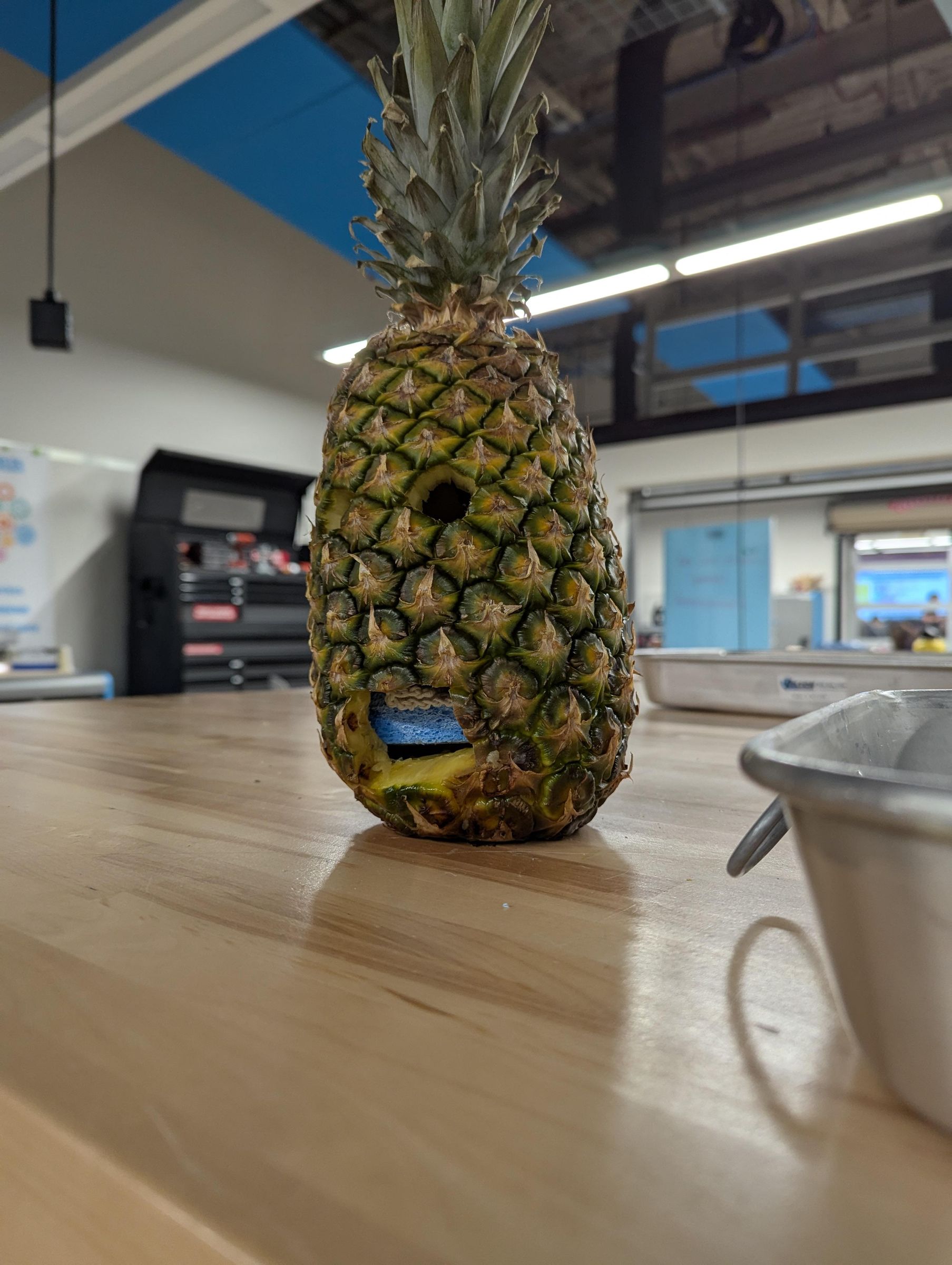 DIY Pineapple House