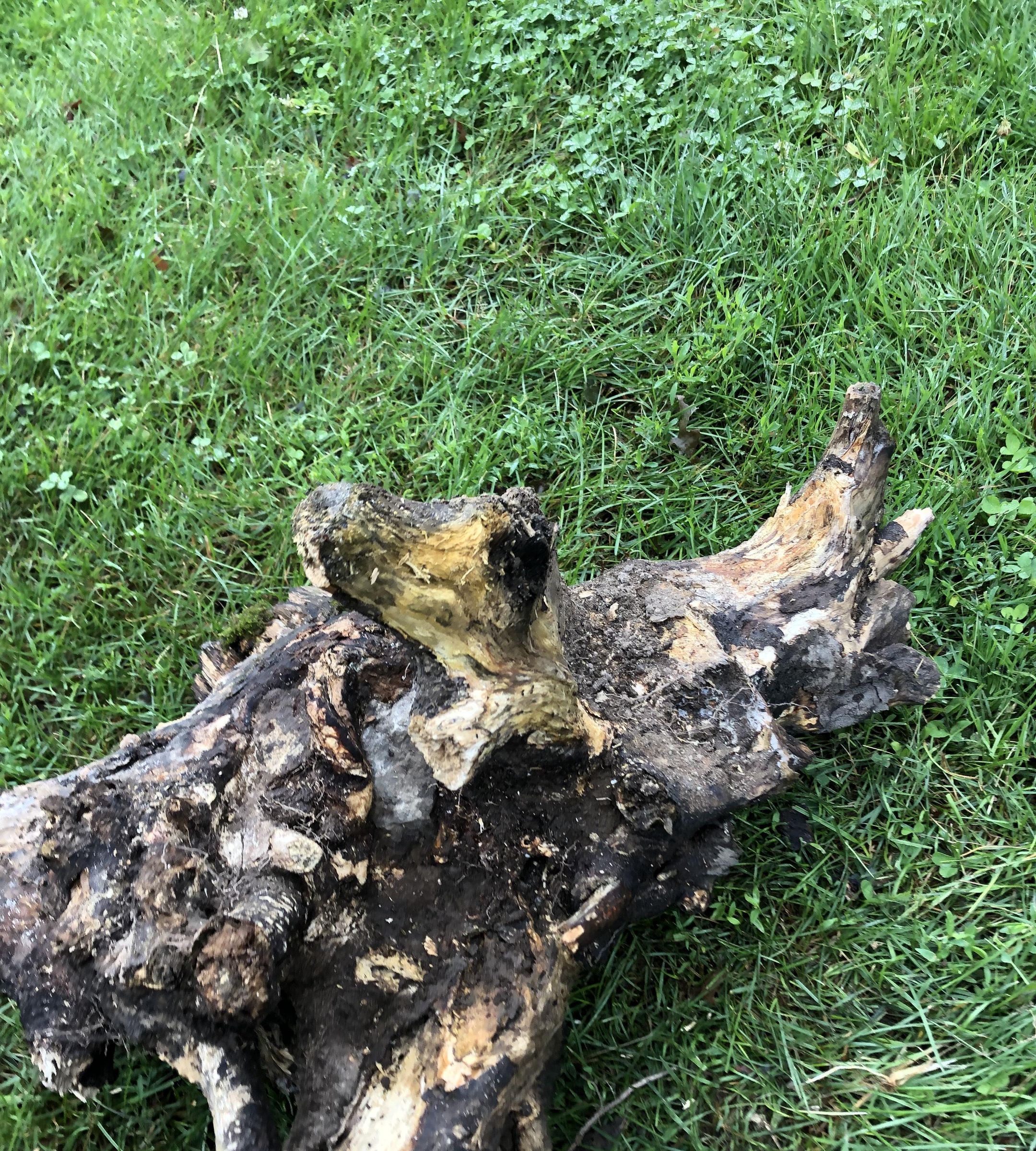Backyard Eyesore to Patio Table Centerpiece 